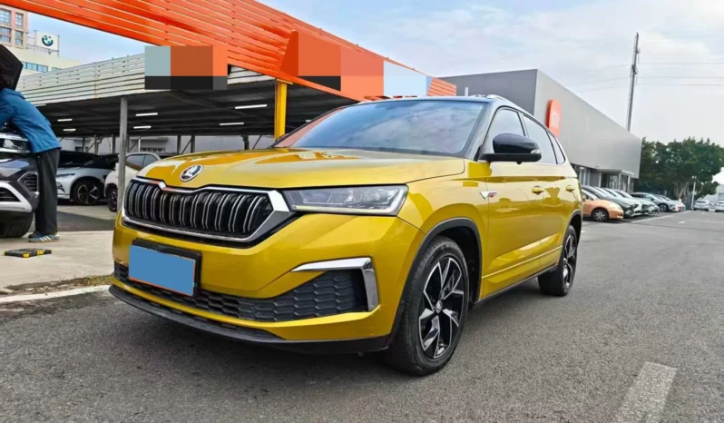 
								Skoda Karoq full									