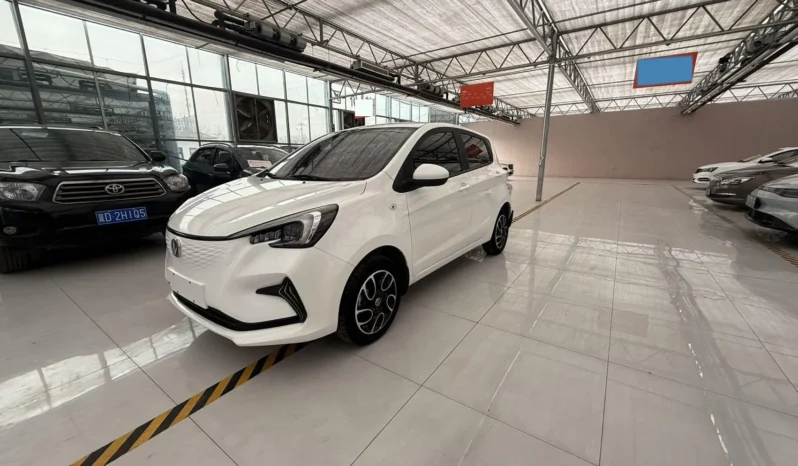 
								Changan BenBen E-Star full									