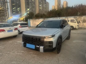 Chery Exploration 06