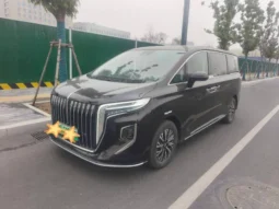 
										HongQi HQ9 full									
