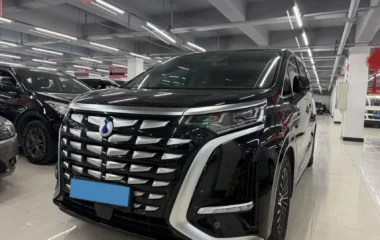 HongQi HS7