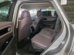 
										Chery Tiggo9 C-DM full									