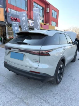 
										Haval Fierce Dragon full									