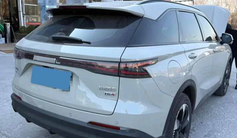 
								Haval Fierce Dragon full									