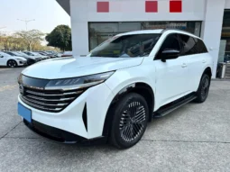 
										Nissan Pathfinder full									