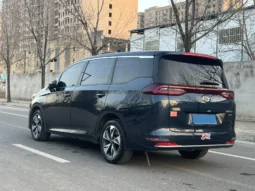 
										GAC Trumpchi M6 full									