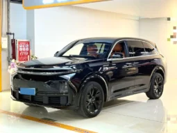 
										Hyundai Palisade full									