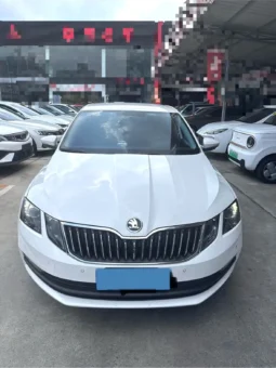 
										Skoda Octavia full									