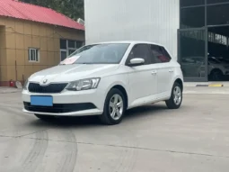
										Skoda Fabia full									