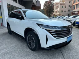 
										Nissan Pathfinder full									