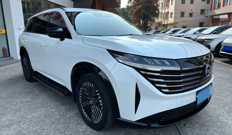 
								Nissan Pathfinder full									