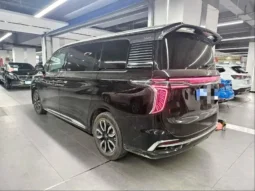 
										HongQi HQ9 full									