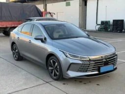 
										BYD Destroyer 05 full									