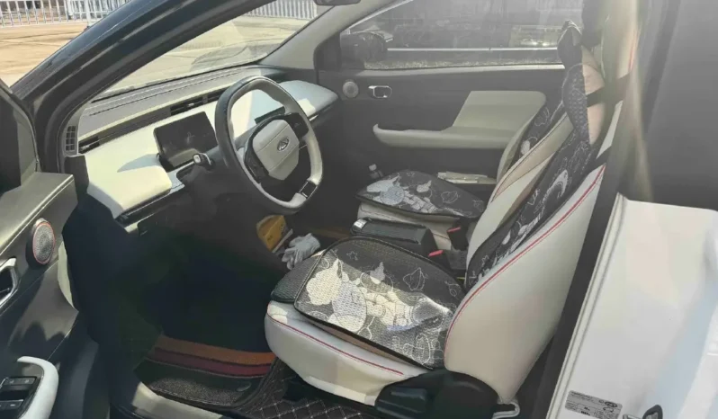 
								Chery Little Ant full									