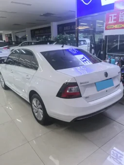 
										Skoda Rapid full									