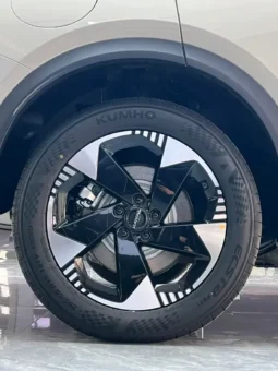 
										Haval Fierce Dragon full									