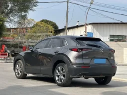 
										Mazda CX-30 full									