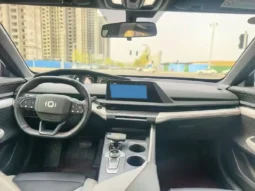 Great Wall Poer King Kong