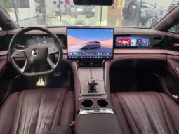 
										Denza DenzaZ9GT full									