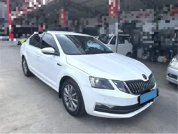 
										Skoda Octavia full									
