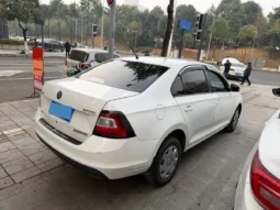
										Skoda Rapid full									