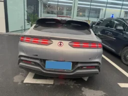 
										Denza DenzaZ9GT full									