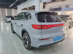 
										Great Wall Poer full									