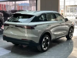 
										Haval Fierce Dragon full									