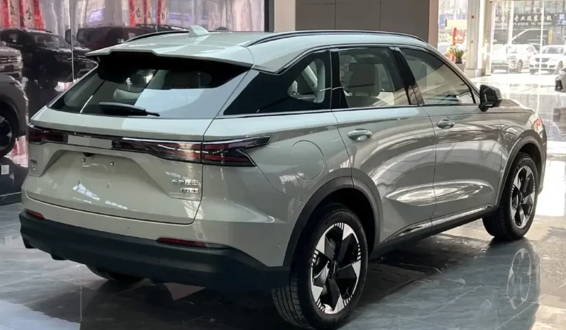 
								Haval Fierce Dragon full									